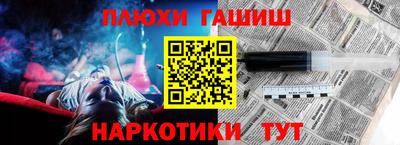 гидра Будённовск